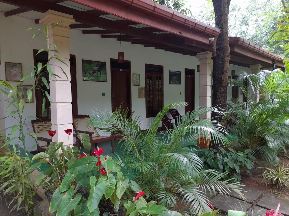 Sigiri Jungle Villa Sigiriya Exteriér fotografie