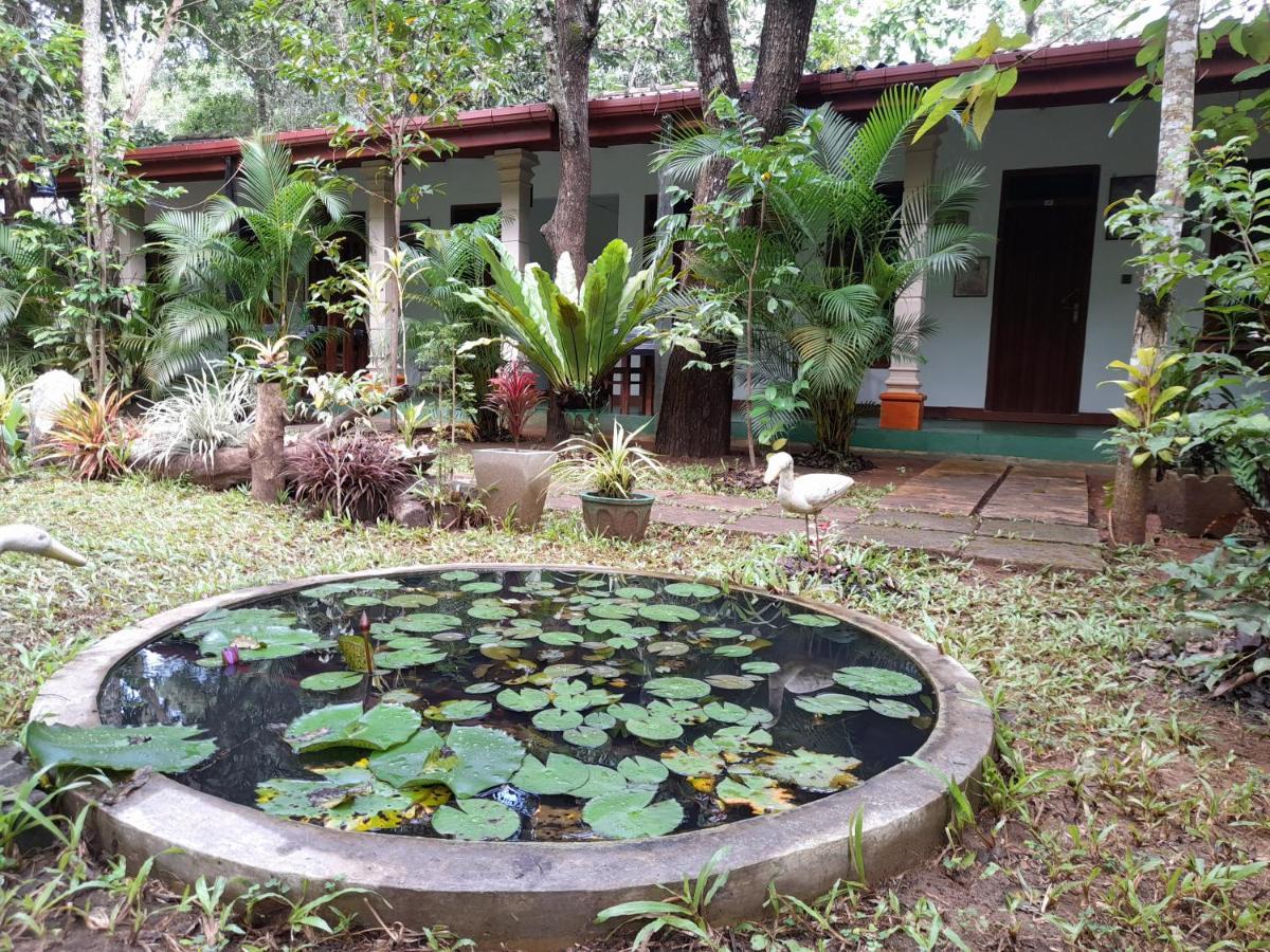 Sigiri Jungle Villa Sigiriya Exteriér fotografie