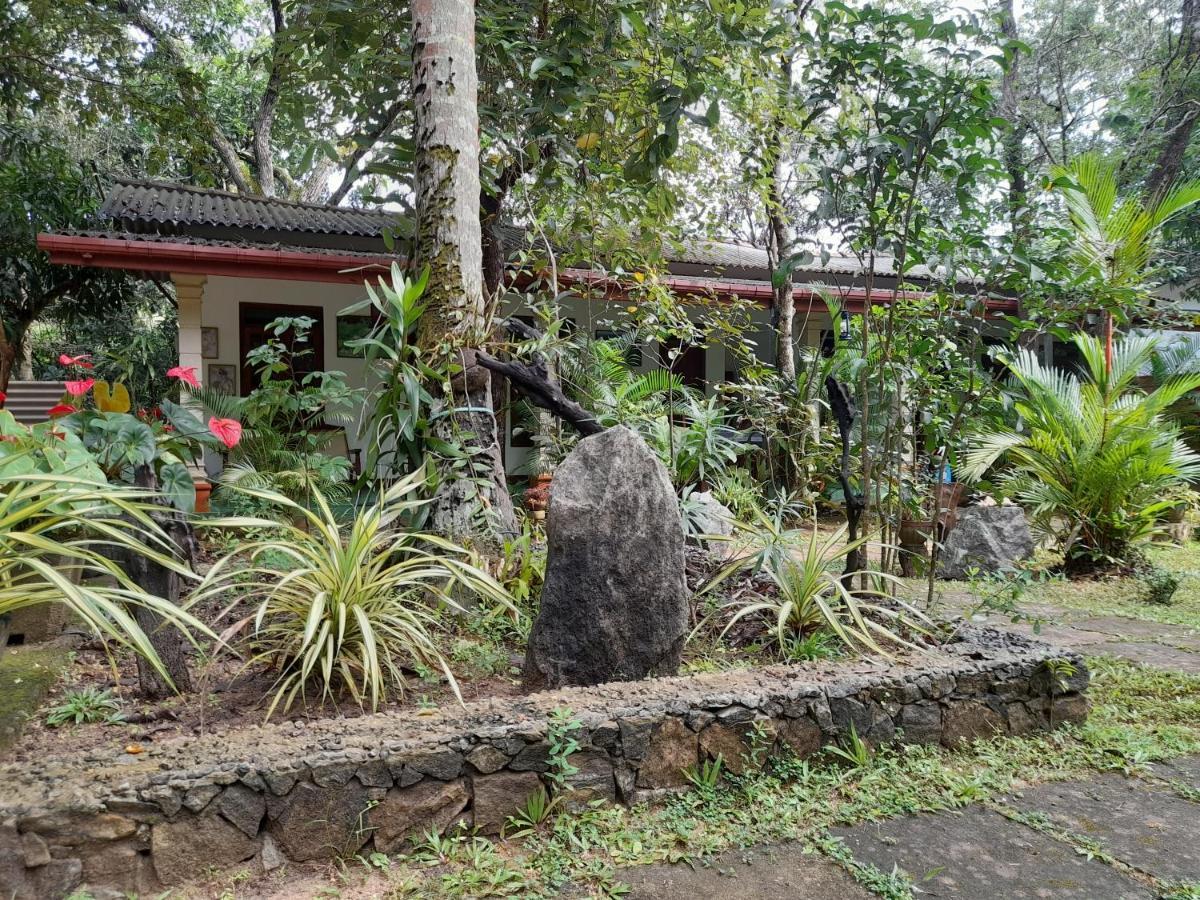 Sigiri Jungle Villa Sigiriya Exteriér fotografie