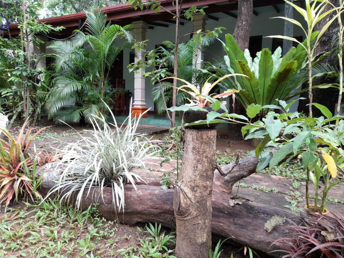 Sigiri Jungle Villa Sigiriya Exteriér fotografie