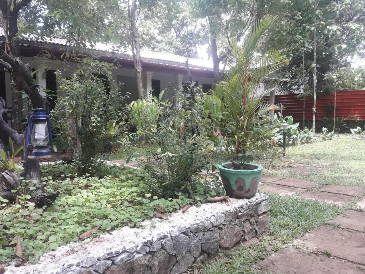 Sigiri Jungle Villa Sigiriya Exteriér fotografie